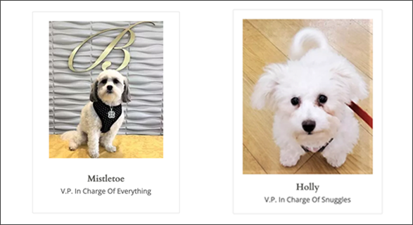 doggies